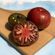 Tomato Plants
