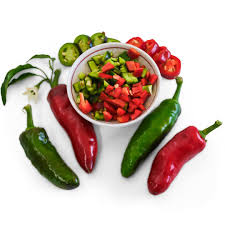 Pepper Plants
