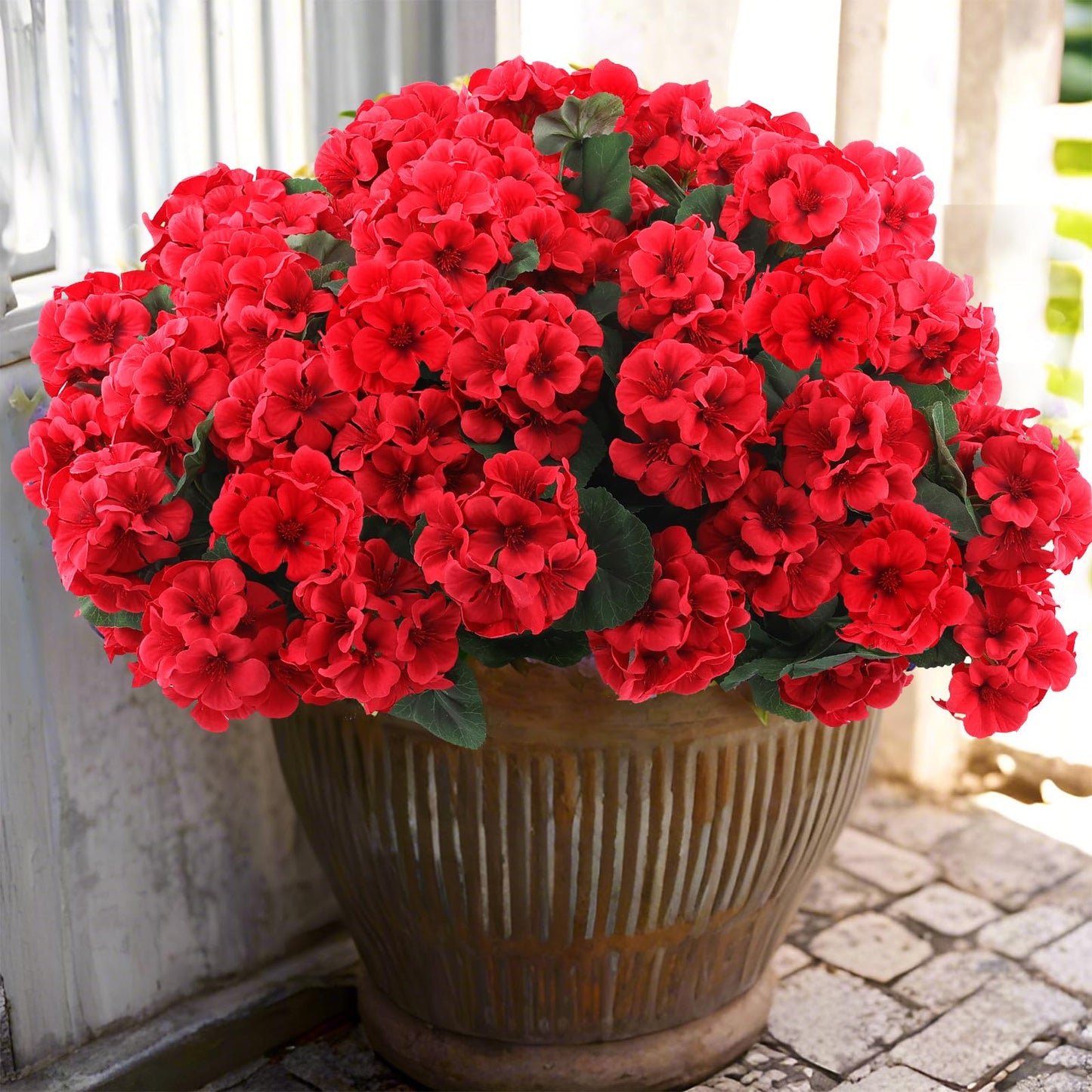 12" Assorted Pots