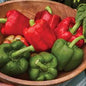 Pepper Plants