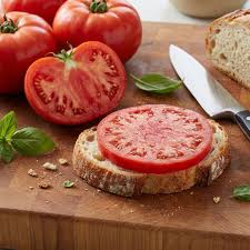 Tomato Plants