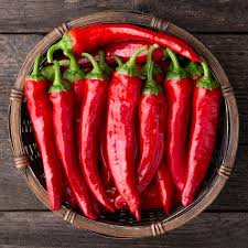 Pepper Plants