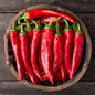 Pepper Plants