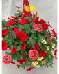 Flowering Hanging Baskets
